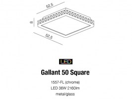 gallant-50-square