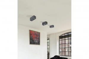 brant-2-square-ip443