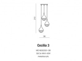 cecilia-3-