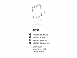 rosa-sketch_2